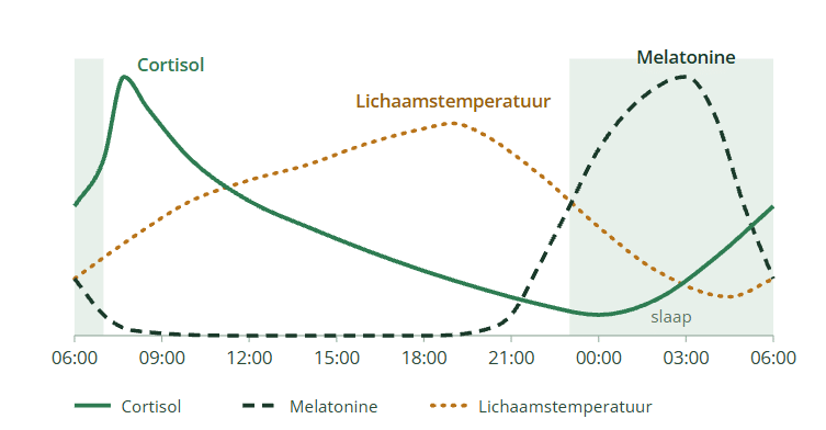 circadiaans ritme temperatuur